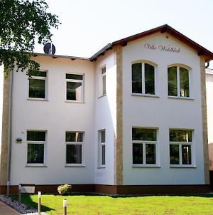 Ferienwohnungen Villa Waldblick Zempin Room photo