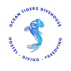 Hostel Ocean Tigers Dive House Cabo San Lucas Exterior photo