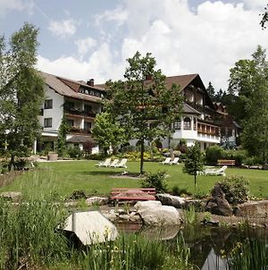 Hotel Waldblick Schwarzwalddorf Kniebis Exterior photo