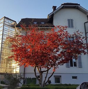 Hotel Casa Carmela Solothurn Exterior photo