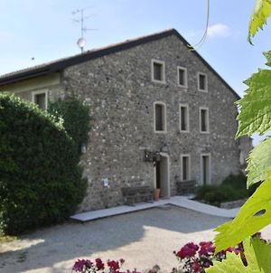 Villa Agriturismo Tenuta San Leone Valeggio sul Mincio Exterior photo