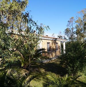 Villa Casa Su Catreathu Orosei Exterior photo