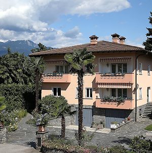 Apartment Casa Thuja Ascona Exterior photo