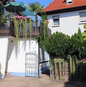 Ferienwohnung Haus Birkenmeier Freiburg im Breisgau Exterior photo