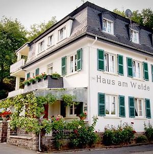 Pension Haus am Walde Brodenbach, Mosel Exterior photo