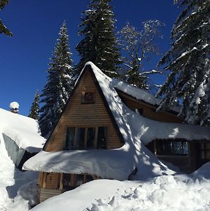 Villa Snow Angel Jahorina Exterior photo