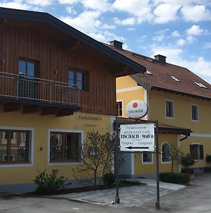 Hotel Fischachstubn Bergheim Exterior photo