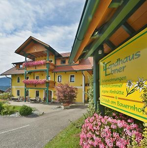 Hotel Landhaus Ebner Millstatt am See Exterior photo