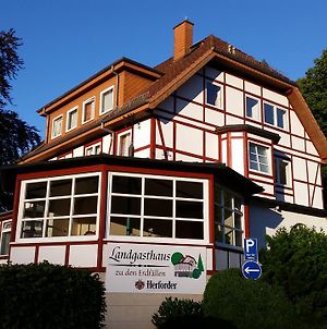 Hotel Landgasthaus Zu den Erdfällen Bad Pyrmont Exterior photo
