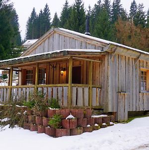 Villa Bungalow 251a Meyersgrund im Thüringer Wald Ilmenau Exterior photo
