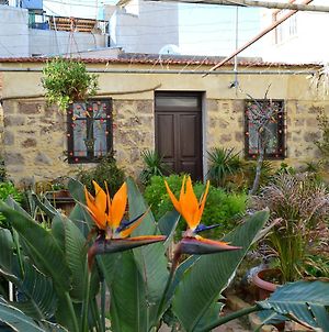 Mystery Garden Guest House Famagusta  Exterior photo