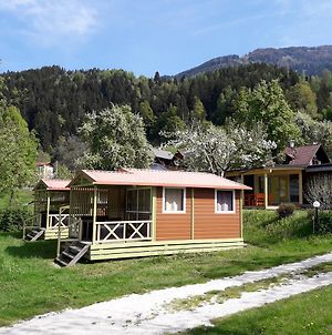 Hotel Camping Neubauer - Mobilheime Millstatt am See Exterior photo