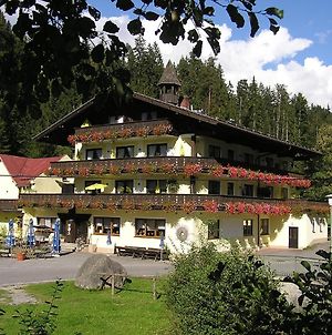 Gasthof Mühle – Natur-&Wanderhotel Rinchnach Exterior photo