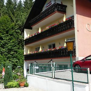 Hotel Sonnleitn Bodenmais Exterior photo