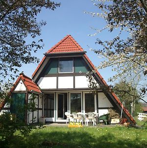 Villa Ferienhaus Altes Land 113 Twielenfleth Exterior photo