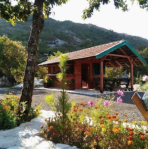 Hotel Camp Oaza,Lipa Cetinje Exterior photo