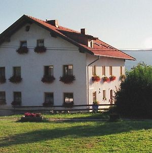 Ferienwohnungen Höhe Untergriesbach Exterior photo