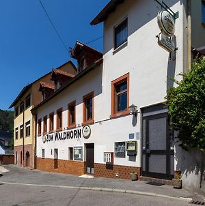 Hotel Zum Waldhorn Peterstal Exterior photo