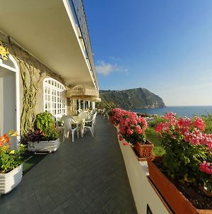 Hotel Casa Del Sole Ischia Island Exterior photo