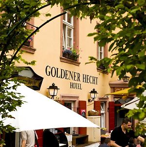 Hotel Goldener Hecht Heidelberg Exterior photo