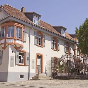 Villa Delange Landau in der Pfalz Exterior photo