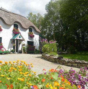 Lissyclearig Thatched Cottage Kenmare Exterior photo