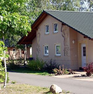 Villa Ferienhäuser an der Skihalle Snowtropolis Horlitz Exterior photo