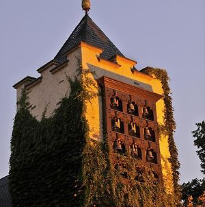 Hotel Breuer's Rüdesheimer Schloss Rüdesheim am Rhein Exterior photo