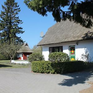 Villa Ferienhaus Ilva in Born Exterior photo