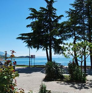 Hotel Vila Delfin Ohrid Exterior photo