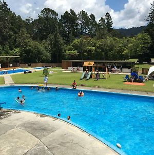 Sapphire Springs Holiday Park And Thermal Pools Katikati Exterior photo