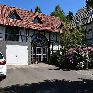 Ferienwohnung Landhaus Bornemann Diemelsee Exterior photo