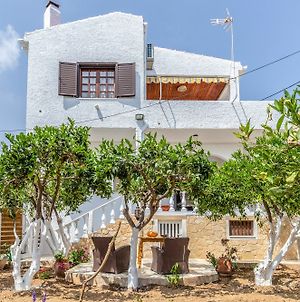 Charming Green House Agia Pelagia (Kreta) Exterior photo