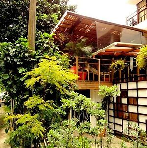 Casa Kiwi Hostel Medellín Exterior photo