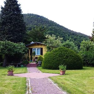 Villa Haus im Grünen Weilbach Exterior photo