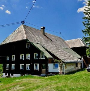 Ferienwohnung Echtes Schwarzwaldhaus - Traditionell&Modern Bernau im Schwarzwald Exterior photo