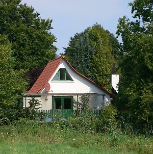 Villa Haus am See Lembruch Exterior photo