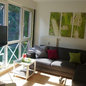 Appartement Schultz - Grüne Aue Braunlage Exterior photo