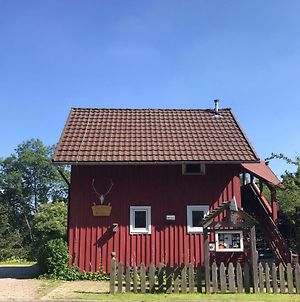 Villa Bahni´s Hütte Sankt Andreasberg Exterior photo