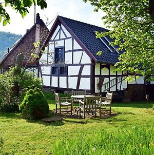 Ferienwohnung Landhaus am Aremberg / Eifel Antweiler Exterior photo