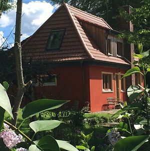 Kleine Villa im wilden Garten Gummersbach Exterior photo