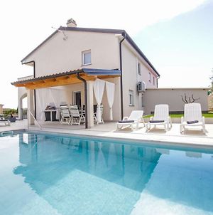 Villa Silver Novigrad With Private Pool Exterior photo