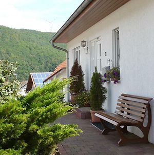 Ferienwohnungen Meindl Idar-Oberstein Exterior photo