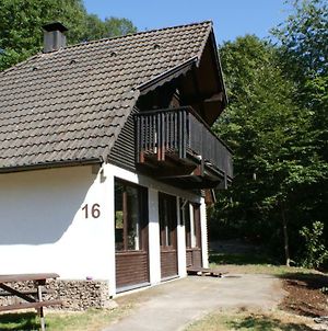 Villa Waldeck Frankenau Exterior photo