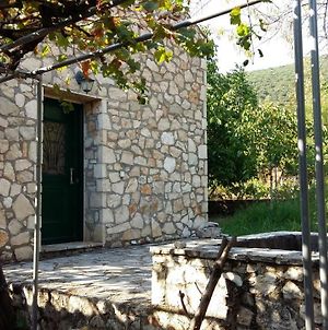 Villa The Stone House-Zacharatos Nikolaos Pouláta Exterior photo