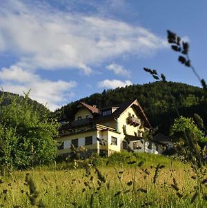 Ferienwohnung Haus Seebach Lunz am See Exterior photo