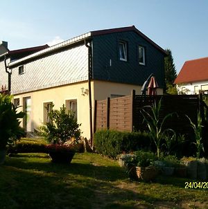 Villa Ferienhaus Teichblick Sebnitz Exterior photo