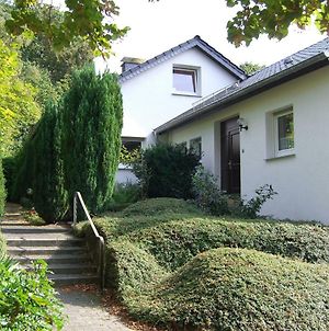 Ferienwohnung Ferienhaus Moock Horn-Bad Meinberg Exterior photo