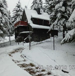 Ferienwohnung Waldhaus, Ski- und Wanderhütte Breitenbrunn  Exterior photo