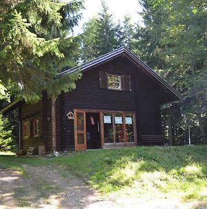 Villa Ferienhütte Hochalm Lunz am See Exterior photo